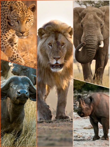Die „Big Five“