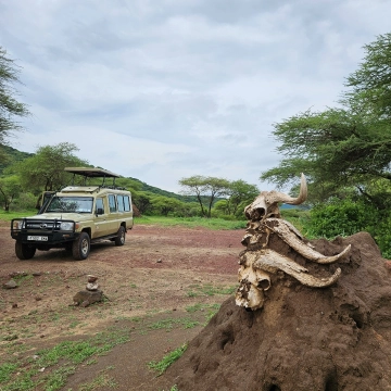 Lake Manyara