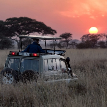 Serengeti